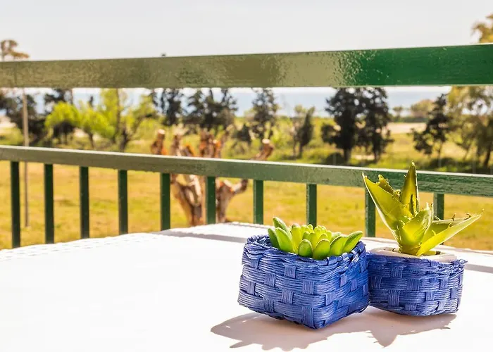 Coral View Apartment